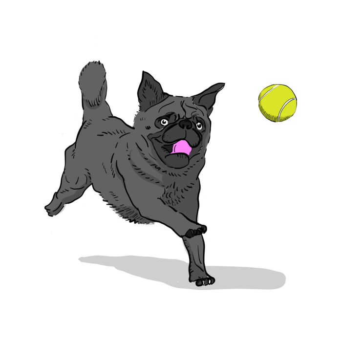 Eyes on the Prize Thumbnail