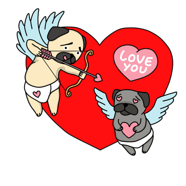 The Story of Cupug Thumbnail