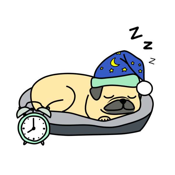 Morning Routine Thumbnail