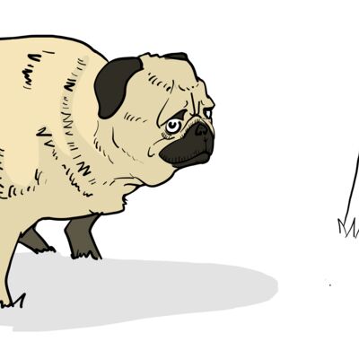 PUGS Thumbnail