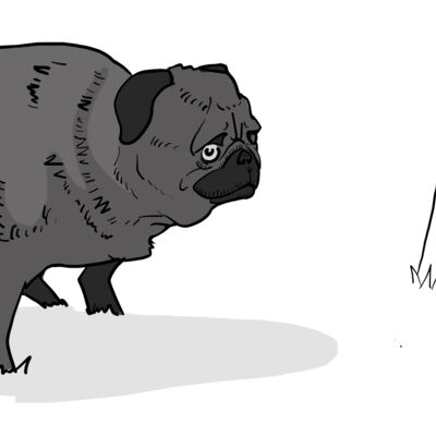 Mocha Poop Thumbnail